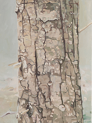 Minna H. Lappalainen